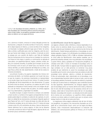 1–28 
La identificación visual de los egipcios 17 
1–27 
ron a dominar el diseño; entonces el artista dibujaba primero las 
ilustraciones y después el escriba escribía el manuscrito, tratando 
de no dejar espacios en blanco, y a veces escribía en los márgenes, 
si el ilustrador no dejaba suficiente lugar para el texto. Se contra-taba 
a artistas cualificados para crear las imágenes, pero los escri-bas 
que hacían este trabajo no eran eruditos. A menudo se omití-an 
pasajes por una cuestión de diseño o por falta de habilidad. 
Para las ilustraciones de los manuscritos se trazaban los contornos 
con líneas en tinta negra o castaña y a continuación se aplicaba el 
color plano, con pigmentos blancos, negros, castaños, azules, ver-des 
y en ocasiones amarillos. Es posible que el amplio uso de colo-res 
luminosos como el azul y el verde fuera una reacción al azul 
intenso del Nilo y al verde exuberante del follaje de sus orillas, una 
raya fresca y llena de vida serpenteando a través de las vastas ex-tensiones 
de desierto. 
Las pinturas murales y los papiros respetaban las mismas con-venciones 
de diseño. Los hombres aparecían con la piel más oscu-ra 
que las mujeres y las personas importantes se representaban 
a una escala mayor que las que lo eran menos. El cuerpo humano 
se dibujaba de forma esquemática en dos dimensiones. El cuerpo 
de frente tenía los brazos, las piernas y la cabeza de perfil. El ojo 
estilizado se interpreta al mismo tiempo como una imagen de per-fil 
y una de frente. Aunque todo era plano, los artistas egipcios 
eran muy observadores y registraban los detalles. 
Se podía encargar un papiro funerario o comprar uno estándar 
y hacer escribir su nombre en los lugares correspondientes. El com-prador 
podía elegir la cantidad y la selección de capítulos, la canti-dad 
y la calidad de las ilustraciones y la longitud. Dejando aparte el 
gran Papiro de Turín, de 57 metros de largo, los rollos del Libro de 
los Muertos oscilaban de los 4,6 metros a los 27,7 metros de largo 
y tenían entre 30 y 45 centímetros de altura. Hacia el desmorona-miento 
definitivo de la cultura egipcia, el Libro de los Muertos 
a menudo consistía tan sólo en hojas de papiro, algunas de las cua-les 
tenían pocos centímetros cuadrados. 
La identificación visual de los egipcios 
Los egipcios utilizaron sellos cilíndricos y marcas registradas en ar-tículos 
como la cerámica desde muy al principio de su historia. 
No cabe duda de que heredaron de los sumerios las dos formas de 
identificación. Desde tiempos prehistóricos, el escarabajo se consi-deraba 
sagrado o mágico. En la XII dinastía, los emblemas de esca-rabajos 
grabados (figuras 1-27 y 1-28) se utilizaban habitualmen-te 
como sellos de identificación. Estas piedras ovaladas, por lo 
general de esteatita vidriada, eran muy parecidas a los escarabajos. 
La parte inferior, plana y grabada con inscripciones jeroglíficas, se 
utilizaba como sello. A veces se montaba el escarabajo como un 
anillo de sello. Aunque todos los egipcios que tenían algo de pres-tigio 
contaban con un sello personal, se conservan muy pocas 
pruebas de que realmente se usaran los escarabajos para sellar. 
Es posible que la función comunicativa fuera secundaria al valor del 
escarabajo como talismán, adorno y símbolo de resurrección. 
El dios sol autocreador, Jepri, relacionado con el escarabajo, a ve-ces 
se representaba haciendo rodar el sol por el cielo, como se veía 
al escarabajo pelotero formando una bola de estiércol y haciéndo-la 
rodar por la arena hasta su madriguera, para comérsela durante 
los días siguientes. Aparentemente, los antiguos egipcios creían 
que el escarabajo ponía sus huevos dentro de la bola y relaciona-ban 
el ciclo vital del escarabajo con los procesos cíclicos de la na-turaleza, 
sobre todo el renacimiento diario del sol. Un escarabajo 
llamado «escarabajo del corazón» se colocaba encima del corazón 
de la momia con sus envolturas. La superficie inferior, grabada, 
contenía una breve súplica al corazón para que no actuara como 
testigo hostil en la Sala de la Justicia de Osiris. 
La majestuosa cultura egipcia sobrevivió más de tres mil años. 
Los jeroglíficos, los papiros y los manuscritos ilustrados son el le-gado 
de su comunicación visual. Junto con los logros de Meso-potamia, 
estas innovaciones desencadenaron la evolución del 
alfabeto y las comunicaciones gráficas en Fenicia y en el mundo 
grecorromano. 
1–27 y 1–28. Escarabajo de Ijnatón y Nefertiti, ca. 1370 a. de C. 
Este escarabajo de 6 centímetros lleva el cartucho de Ijnatón 
sobre el lado visible. Los jeroglíficos grabados sobre el fondo 
plano se tallaron con una aguja de bronce. 
 