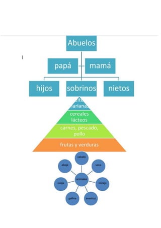 Libro infórmatica 4ªc