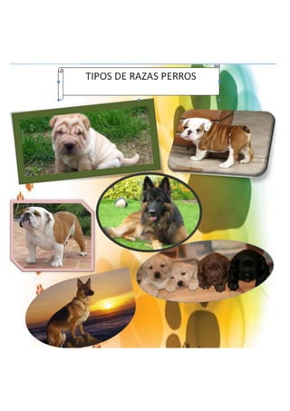 Libro infórmatica 4ªc