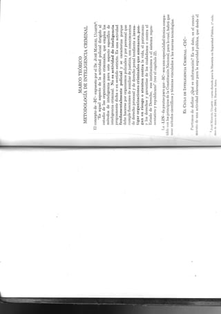 Libro int. criminal i