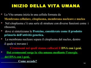 INIZIO DELLA VITA UMANAINIZIO DELLA VITA UMANA
La Vita umana inizia in una cellula formata daLa Vita umana inizia in una cellula formata da
Membrana cellulare, citoplasma, membrana nucleare e nucleoMembrana cellulare, citoplasma, membrana nucleare e nucleo
Nel citoplasma c’è una serie di strutture con diverse funzioni come iNel citoplasma c’è una serie di strutture con diverse funzioni come i
ribosomi,ribosomi,
dove si sintetizzano ledove si sintetizzano le Proteine, considerate come il prodottoProteine, considerate come il prodotto
primario dell’attività genetica.primario dell’attività genetica.
La membrana nucleare separa il citoplasma dal nucleo, dentroLa membrana nucleare separa il citoplasma dal nucleo, dentro
il quale si trovano iil quale si trovano i
Cromosomi nei quali stanno collocati ilCromosomi nei quali stanno collocati il DNA con i geni.DNA con i geni.
Dai cromosomi sorge la vita umana mediante l’energiaDai cromosomi sorge la vita umana mediante l’energia
del DNA con i geni.del DNA con i geni.
Come accade?Come accade?
160160
 
