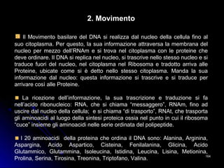 164164
2. Movimento
Il Movimento basilare del DNA si realizza dal nucleo della cellula fino al
suo citoplasma. Per questo, la sua informazione attraversa la membrana del
nucleo per mezzo dell’RNAm e si trova nel citoplasma con le proteine che
deve ordinare. Il DNA si replica nel nucleo, si trascrive nello stesso nucleo e si
traduce fuori del nucleo, nel citoplasma nel Ribosoma e tradotto arriva alle
Proteine, ubicate come si è detto nello stesso citoplasma. Manda la sua
informazione dal nucleo: questa informazione si trascrive e si traduce per
arrivare così alle Proteine.
La ricezione dell’informazione, la sua trascrizione e traduzione si fa
nell’acido ribonucleico: RNA, che si chiama “messaggero”, RNAm, fino ad
uscire dal nucleo della cellula; e si chiama “di trasporto”, RNAt, che trasporta
gli aminoacidi al luogo della sintesi proteica ossia nel punto in cui il ribosoma
“cuce” insieme gli aminoacidi nelle serie ordinata del polipeptide.
I 20 aminoacidi della proteina che ordina il DNA sono: Alanina, Arginina,
Aspargina, Acido Aspartico, Cisteina, Fenilalanina, Glicina, Acido
Glutammico, Glutammina, Isoleucina, Istidina, Leucina, Lisina, Metionina,
Prolina, Serina, Tirosina, Treonina, Triptofano, Valina.
 