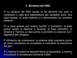167167
3. Struttura del DNA
La struttura del DNA consta di tre elementi che però si
combinano e nella loro espressione più semplice sono: Una
base azotata, un acido fosforico e il deossiribosio (un zucchero
pentoso).
La base azotata può essere “purina” o “pirimidina”: la base
purina consta di Adenina e Guanina; la base pirimidina, di
Citosina e Tiamina. Le basi purine e pirimidine si uniscono con i
legamenti dell’ idrogeno.
All’interno dei cromossomi, le proteine della cromatina (come
gli istoni) permettono di compattare e controllare la trascrizione
dei geni.
L’insieme di questi tre elementi forma un Nucleotide. L’insieme
di nucleotidi si concatenano formando il DNA.
 