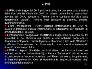 170170
4. RNA
L’RNA si distingue dal DNA poiché il primo ha una sola banda invece
delle due che ha l’elica del DNA. In questa banda ha le stesse basi
azotate del DNA, eccetto la Timina che è sostituita dall’altra base
denominata “Uracile”. Rimane così costituito da adenina, citosina,
guanina e uracile.
L’RNA messaggero (RNAm) trascrive l’informazione del DNA nel
nucleo e trasmette questa informazione al citoplasma per ordinare gli
aminoacidi delle Proteine.
L’informazione “fotografata” dall’RNAm si legge nelle sequenze dei tre
nucleotidi di cui abbiamo già parlato e che abbiamo detto che si
denominano “triplette”; queste triplette si chiamano a loro volta “Codoni” e
codificano l’informazione per l’inserimento di un specifico aminoacido
durante la sintese proteica.
L’RNA di trasporto (RNAt) ha un sito di attacco per l’aminoacido ed una
regione con le tre basi (nucleotidi), chiamata “Anticodoni”, che riconosce
il corrispondente “codone” a tre basi dell’RNAm attraverso l’appaiamento
di basi complementari. Cosi si determina la sequenza corretta degli
aminoacidi della proteina.
 