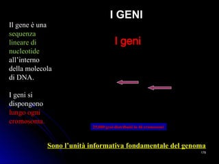 I geni
Il gene è una
sequenza
lineare di
nucleotide
all’interno
della molecola
di DNA.
I geni si
dispongono
lungo ogni
cromosoma.
Sono l’unità informativa fondamentale del genomaSono l’unità informativa fondamentale del genoma
25,000 geni distribuiti in 46 cromosomi25,000 geni distribuiti in 46 cromosomi
178178
I GENII GENI
 