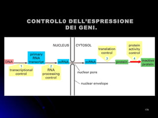 CONTROLL0 DELL’ESPRESSIONECONTROLL0 DELL’ESPRESSIONE
DEI GENI.DEI GENI.
179179
 