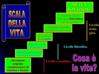 MovimentoMovimento
organicoorganico
complementare dicomplementare di
relazioni e finalità.relazioni e finalità.
Capacità primordialeCapacità primordiale
di essere e attuare.di essere e attuare.
Finalità oppostaFinalità opposta
di contrarietàdi contrarietà..
Muoversi;Muoversi;
dalladalla morte.morte.
Relazione fecondaRelazione feconda
Donazione amorevole.Donazione amorevole.
Morte di CristoMorte di Cristo
diventatadiventata risurrezionerisurrezione
per lo Spirito.per lo Spirito.
MUTUAMUTUA
DONAZIONE.DONAZIONE.
Livello scientifico.Livello scientifico.
Livello filosoficoLivello filosofico..
LivelloLivello
teolo-teolo-
gico.gico.
238238
 