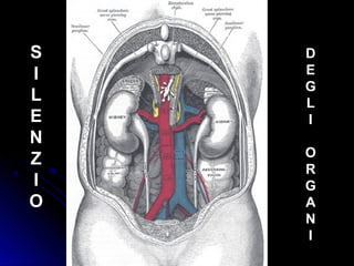 La Salute è
il silenzio
degli organi.
SS
II
LL
EE
NN
ZZ
II
OO
DD
EE
GG
LL
II
OO
RR
GG
AA
NN
II
 