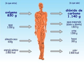 La Salute è il livello di
efficacia funzionale e/o
metabolica di un organismo,
tanto a livello micro
(cellulare), quanto al macro
(sociale)
 