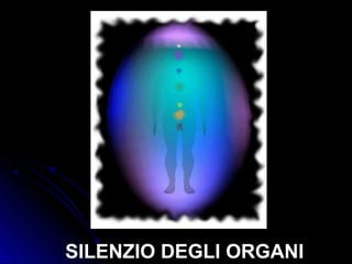 SILENZIO DEGLI ORGANI
 
