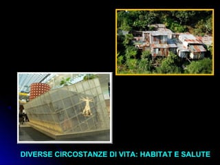 DIVERSE CIRCOSTANZE DI VITA: HABITAT E SALUTEDIVERSE CIRCOSTANZE DI VITA: HABITAT E SALUTE
 