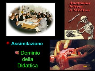 AssimilazioneAssimilazione
Dominio
della
Didattica 500
 
