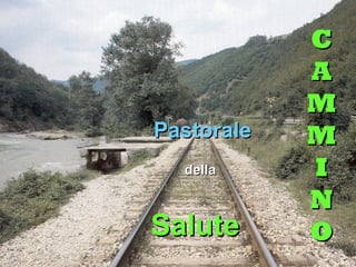 CC
AA
MM
MM
II
NN
OO6464
PastoralePastorale
delladella
SaluteSalute
 