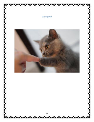 31
A un gato
 
