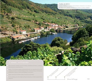 Pueblo de Belesar... 
Pueblo de Belesar (O Saviñao), extraordinario escenario en el entorno 
del Miño, con la calzada romana de los Codos en ambas vertientes 
135 
Ruta de senderismo: de Diomondi, por 
calzada romana de Codos de Belesar, 
Visita a iglesia románica de Diomondi 
de 
Esteban San Saviñao) 
de iglesia Miño (O a la de Visita Rivas hasta pueblo de Belesar 
Línea de tiempo 
Y además... en O Saviñao 
Rutas: Camino Sur a Santiago; ruta de los embalses, desde Belesar a Os Peares, o de Belesar 
hacia Portomarín; ruta playa de A Cova… 
Fiestas: 1º fin de semana de agosto, patronales de Escairón, con carrera de burros y tiro de 
cuerda por parroquias; romería de Os Milagros de Aiaz, 1º domingo de Julio; 1º fin de semana 
de Septiembre, romería en santuario de Guadalupe, en San Victorio… 
Lugares: riberas del río Sardiñeira; peñasco ahuecado en viña do Grilo… 
En los roquedales, aves como el Águila real (Aquila chrysaetos) y el Halcón peregrino (Falco 
peregrinus). 
 