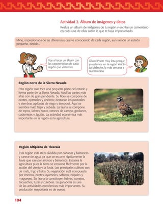 104
Región norte de la Sierra Nevada
Esta región sólo toca una pequeña parte del estado y
forma parte de la Sierra Nevada. Aquí las partes más
altas son de gran pendiente. Su flora se compone de
ocotes, oyameles y encinos; destacan los pastizales
y siembras agrícolas de riego y temporal. Aquí se
siembra maíz, trigo y cebada. La fauna se compone
de topos, liebres, tuzas, ratones de campo, gavilanes,
codornices y águilas. La actividad económica más
importante en la región es la agricultura.
Región Altiplano de Tlaxcala
Esta región está muy dividida por cañadas y barrancas
y carece de agua, ya que se escurre rápidamente la
lluvia que cae por arroyos y barrancos. Escasea la
agricultura pues la tierra se erosiona fácilmente por la
acción del viento y la lluvia. Los principales cultivos son
de maíz, trigo y haba. Su vegetación está compuesta
por encinos, ocotes, oyameles, sabinos, nopales y
magueyes. Su fauna la constituyen liebres, conejos,
tlacuaches, tuzas y culebras. La ganadería es una
de las actividades económicas más importantes. Su
producción mayori­taria es de ovejas.
Actividad 2. Álbum de imágenes y datos
Realiza un álbum de imágenes de tu región y escribe un comentario
en cada una de ellas sobre lo que te haya impresionado.
Voy a hacer un álbum con
las características de cada
región que visitemos.
¡Claro! Ponte muy lista porque
ya estamos en la región Volcán
La Malinche, la más cercana a
nuestra casa.
Mine, impresionada de las diferencias que va conociendo de cada región, aun siendo un estado
pequeño, decide...
AB-TLAX-3-P-099-120.indd 104 25/05/12 12:24
 