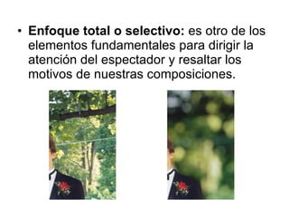 Enfoque total o selectivo:  es otro de los elementos fundamentales para dirigir la atención del espectador y resaltar los motivos de nuestras composiciones. produndidad de campo amplia produndidad de campo Limitada produndidad de campo amplia produndidad de campo Limitada produndidad de campo amplia produndidad de campo Limitada produndidad de campo amplia produndidad de campo Limitada 