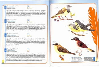 Libro Las Aves de mi Ciudad.pdf