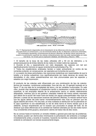 Limnología                                               108




  Fig. 17. Representación diagramática de la interpretación de las diferencias entre las capturas de una red
  empujada frente a la embarcación y una red remolcada detrás de ella, en diferentes condiciones ambientales.
     Los sombreados representan concentraciones de plancton diferentes; las flechas indican reacciones de
  evasión a la perturbación superficial; las colectas comparativamente más ricas están representadas con redes
              más llenas. Ver el texto para la explicación detallada. (De Boltovskoy y Mazzoni, 1988).

1. El tamaño de la boca de las redes utilizadas (20 y 50 cm de diámetro), y la
presencia/ausencia de bridas delante de las redes no inciden sobre las capturas;
2. Durante el día, y especialmente con cielo despejado, las capturas con red son
significativamente menores en aguas recientemente perturbadas (Fig. 16);
3. Todos los zoopláncteres analizados tienden a nadar activamente en contra de las
corrientes evitando, en consecuencia, ser aspirados por la bomba de succión;
4. La evasión de áreas perturbadas y las reacciones reotácticas son responsables de que la
botella y la bomba subestimen muy significativamente (en hasta decenas de veces) las
densidades in situ; estas subestimaciones son más pronunciadas para las especies y
estadios con mejor locomoción.

El producto de las colectas está influenciado por una combinación de tipo de colector,
técnica de muestreo, condiciones ambientales, hora del día, etc. El ejemplo ilustrado en la
figura 17 da una idea de la complejidad del tema y de las variables involucradas. En este
caso, durante días despejados el zooplancton tendía a mantenerse a cierta distancia de la
superficie; la red empujada delante de la embarcación barría un estrato relativamente
despoblado, mientras que la red posterior colectaba material del mismo estrato mezclado
(por efecto de la acción del motor fuera de borda) con aguas subsuperficiales más ricas en
plancton; a pesar de las reacciones evasivas del plancton (flechas), la mezcla vertical hacía
que las aguas detrás del bote fueran momentáneamente más ricas en plancton que las
aguas delante del mismo. Por otro lado, en días nublados la distribución de los pláncteres en
la capa superficial no era estratificada; la red de atrás barría el mismo estrato que la de
adelante, aunque empobrecido por la evasión que provocaba el pasaje del bote. Es de
destacar que estas diferencias en la cantidad de material colectado por las dos redes fueron
muy consistentes entre grupos y alcanzaron valores de hasta más de diez veces.

No se conoce hasta el momento un remedio infalible y general para este tipo de problemas.
Sus efectos pueden ser disminuídos minimizando la perturbación del ambiente a investigar
inmediatamente antes y durante el muestreo, haciendo los barridos a velocidad constante y
evitando la colmatación con lances excesivamente largos.
 