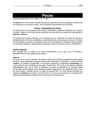 Limnología                                    113




                                       Peces
Sección preparada por O.H. Padín y N. R. Iriart.

El necton es la "comunidad" errante formada por organismos que se desplazan activamente
en el agua por sus propios medios. Sus principales componentes son los peces.

                          ARTES Y MANIOBRAS DE PESCA
Se define como arte de pesca a todo equipo y elementos accesorios utilizados en la captura
de peces. Según sus características operativas las artes de pesca pueden ser agrupadas en
pasivas y activas.

El material más antiguo utilizado por el hombre para la confección de artes de pesca es
probablemente el lino, de excelentes características para prestaciones marineras. También
se han utilizado el cáñamo y el algodón, pero en la actualidad los materiales más difundidos
son las fibras sintéticas, especialmente poliamida y nylon en piolín de mono y polifilamento.


ARTES PASIVAS
Son aquéllas que se calan en un punto determinado y es el pez con su actividad y
desplazamientos el que determina la captura.

Espinel
De uso común en el río Paraná y el estuario del Río de la Plata, principalmente para peces
de fondo. Suele utilizarse en lagunas para la pesca de bagres. Consiste en un cabo principal
(madre), de longitud considerable. A intervalos regulares se desprenden brazoladas, en
cuyos extremos van anudados los anzuelos. Puede llevar 100 o más y ser calado a distintas
profundidades (Fig. 1a, b). Para su operación la madre es adujada en un canasto desde
donde salen las brazoladas cuyos anzuelos quedan asegurados a un rodete de corcho, para
ser encarnados a medida que se va filando el espinel (Fig. 1c), Este queda fondeado por
medio de muertos de cemento o de hierro de 2 a 10 kg en sus extremos. La presencia del
espinel queda señalada mediante una o más boyas con banderines.
 