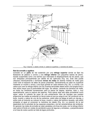 Limnología                                        114




              Fig.1. Espinel. a: calado a fondo; b: calado en superficie; c: maniobra de calado.

Red de enmalle o agallera
Consiste en un paño de red sostenido por una relinga superior donde se fijan los
flotadores de plástico o corcho y una relinga inferior con pequeños lastres de plomo.
Queda suspendida como una barrera que intercepta el desplazamiento de los peces, que
son atrapados principalmente por detrás de los opérculos (Fig. 2a). Este arte puede
utilizarse individualmente o formando trenes de redes de distinta medida de malla para
cubrir todo el espectro de tallas de peces presentes. Generalmente se calan en superficie
mediante un muerto o ancla y una boya grande en cada extremo (Fig. 2b), o a fondo. Los
cabos que unen la relinga inferior con los muertos terminales deben tener una longitud dos o
tres veces mayor que la profundidad del lugar. Se utilizan, variando los tamaños de malla,
en todos los ambientes bonaerenses para la pesca de bagres, tarariras, lisas y, muy
especialmente, para la captura del pejerrey. Para operar este arte debe procederse como
sigue: sobre la cubierta de popa de una embarcación libre de herrajes que puedan
enganchar las mallas se extiende un lienzo sobre el que se carga la red. Se comienza con la
boya, muerto y cabos de uno de los extremos, sobre ellos se pliega el paño en zig-zag, y
sobre todo el conjunto se colocan la boya, muerto y cabos del extremo opuesto, que serán
arrojados al agua al comenzar la maniobra de calado (Fig. 2c). La posición de la red
dependerá de la actividad de las especies presentes y de las características del ambiente.
En general, las redes de enmalle se calan paralelas a la línea de costa, con la relinga inferior
casi sobre el fondo en costas de pendiente suave de lagunas y embalses, y perpendiculares
a la línea de costa cuando se trata de lagos profundos.
 