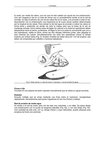 Limnología                                        117



la costa, por medio de cabos, una vez que ha sido calada con ayuda de una embarcación.
Una vez cargada la red en un bote de remos con un procedimiento similar al de la red de
enmalle, se deja el extremo de uno de los cabos fijo en la costa, y se procede a calar la red,
describiendo con la embarcación una trayectoria en U cuyas ramas quedan determinadas
por la longitud de los cabos. Para extraer la red del agua se procede a cobrar los cabos en
forma lenta y sostenida, sin perder de vista la maesa para que la bolsa de la red se
mantenga armada. Unos metros antes de llegar los calones a la costa los operadores deben
desplazarse hacia el centro, juntándose. Al llegar la red a la costa es conveniente que uno o
dos operadores, rodilla en tierra, tomen las dos relingas inferiores juntas, bien pegadas al
piso mientras las cobran. Simultáneamente, los otros dos operadores cobran la relinga
superior por ambos lados (Fig. 5). Existen modelos de hasta cerca de 1 km de longitud, que
deben ser arrastradas por caballos o tractores (sabaleras).




              Fig: 4. Artes activas. a: copo de mano; b: atarraya; c: red de arrastre de playa.



Chuza o fija
Consiste en una especie de arpón operado manualmente que se utiliza en aguas someras.

Robador
Anzuelo múltiple que se arroja mediante una línea sobre el cardumen, recogiéndose
rápidamente. Generalmente para peces migradores en los ríos Paraná y Salado.

Red de arrastre de media agua
Es similar a la red de costa, pero con las alas muy reducidas, o sin ellas. Se opera desde
una embarcación con la ayuda de tangones laterales (Fig. 6a), o con dos botes (Fig. 6b).
Una variedad de este arte, con su relinga inferior y copo reforzados, puede utilizarse para
arrastres de fondo con portones.
 