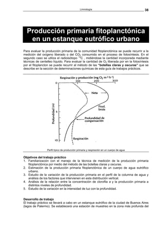 Limnología                                   38




  Producción primaria fitoplanctónica
   en un estanque eutrófico urbano
Para evaluar la producción primaria de la comunidad fitoplanctónica se puede recurrir a la
medición del oxígeno liberado o del CO2 consumido en el proceso de fotosíntesis. En el
segundo caso se utiliza el radioisótopo 14C , midiéndose la cantidad incorporada mediante
técnicas de centelleo líquido. Para evaluar la cantidad de O2 liberada por en la fotosíntesis
por el fitoplancton se puede recurrir al método de las “botellas claras y oscuras” que se
describe en la sección de determinaciones químicas de esta guía de trabajos prácticos.




                 Perfil típico de producción primaria y respiración en un cuerpo de agua

Objetivos del trabajo práctico
1. Familiarización con el manejo de la técnica de medición de la producción primaria
   fitoplanctónica por medio del método de las botellas claras y oscuras.
2. Estimación de la producción primaria fitoplanctónica de un cuerpo de agua eutrófico
   urbano.
3. Estudio de la variación de la producción primaria en el perfil de la columna de agua y
   análisis de los factores que intervienen en esta distribución vertical.
4. Análisis de la relación entre la concentración de clorofila a y la producción primaria a
   distintos niveles de profundidad.
5. Estudio de la variación en la intensidad de luz con la profundidad.


Desarrollo de trabajo
El trabajo práctico se llevará a cabo en un estanque eutrófico de la ciudad de Buenos Aires
(lagos de Palermo). Se establecerá una estación de muestreo en la zona más profunda del
 