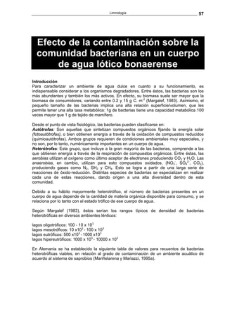 Limnología                                   57




  Efecto de la contaminación sobre la
  comunidad bacteriana en un cuerpo
      de agua lótico bonaerense
Introducción
Para caracterizar un ambiente de agua dulce en cuanto a su funcionamiento, es
indispensable considerar a los organismos degradadores. Entre éstos, las bacterias son los
más abundantes y también los más activos. En efecto, su biomasa suele ser mayor que la
biomasa de consumidores, variando entre 0.2 y 15 g C. m-3 (Margalef, 1983). Asimismo, el
pequeño tamaño de las bacterias implica una alta relación superficie/volumen, que les
permite tener una alta tasa metabólica: 1g de bacterias tiene una capacidad metabólica 100
veces mayor que 1 g de tejido de mamífero.

Desde el punto de vista fisiológico, las bacterias pueden clasificarse en:
Autótrofas: Son aquellas que sintetizan compuestos orgánicos fijando la energía solar
(fotoautótrofas), o bien obtienen energía a través de la oxidación de compuestos reducidos
(quimioautótrofas). Ambos grupos requieren de condiciones ambientales muy especiales, y
no son, por lo tanto, numéricamente importantes en un cuerpo de agua.
Heterótrofas: Este grupo, que incluye a la gran mayoría de las bacterias, comprende a las
que obtienen energía a través de la respiración de compuestos orgánicos. Entre éstas, las
aerobias utilizan al oxígeno como último aceptor de electrones produciendo CO2 y H2O. Las
anaerobias, en cambio, utilizan para esto compuestos oxidados, (NO3-, SO42-, CO2),
produciendo gases como N2, SH2 y CH4. Esto se logra a partir de una larga serie de
reacciones de óxido-reducción. Distintas especies de bacterias se especializan en realizar
cada una de estas reacciones, dando origen a una alta diversidad dentro de esta
comunidad.

Debido a su hábito mayormente heterotrófico, el número de bacterias presentes en un
cuerpo de agua depende de la cantidad de materia orgánica disponible para consumo, y se
relaciona por lo tanto con el estado trófico de ese cuerpo de agua.

Según Margalef (1983), éstos serían los rangos típicos de densidad de bacterias
heterotróficas en diversos ambientes lénticos:

lagos oligotróficos: 100 - 10 x 103
lagos mesotróficos: 10 x103 - 100 x 103
lagos eutróficos: 500 x103 - 1000 x103
lagos hipereutróficos: 1000 x 103 - 10000 x 103

En Alemania se ha establecido la siguiente tabla de valores para recuentos de bacterias
heterotróficas viables, en relación al grado de contaminación de un ambiente acuático de
acuerdo al sistema de saprobios (Mariñelarena y Mariazzi, 1995a).
 