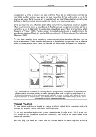 Limnología                                                84



resuspensión y limita la difusíón de este nutriente fuera de los sedimentos; además las
macrófitas pueden obtener gran parte de sus nutrientes de los sedimentos y no de la
columna de agua. De tal manera, en el balance final, las macrófitas actuarían como trampa
de fósforo, disminuyendo la concentración del mismo en la columna de agua.

En lo que respecta a su influencia sobre otras comunidades, las plantas acuáticas pueden
influir negativamente sobre la abundancia de fitoplancton, ya sea por competencia por luz o
nutrientes, o por la liberación de sustancias alelopáticas que inhiben el crecimiento algal
(Izaguirre y Vinocur, 1994). También sirven de sustrato natural para el establecimiento de
abundantes algas perifíticas, las que también compiten con el fitoplancton por los nutrientes
(Hansson, 1988).

Por otro lado, aquellos lagos vegetados poseen comunidades animales más ricas que los
lagos no vegetados. Varios estudios indican que la densidad de zooplancton que se alberga
en las zonas vegetadas, sería capaz de controlar las poblaciones de fitoplancton presentes.




Fig. 2. Representación equemática del porcentaje del área del lago cubierta por vegetación acuática en función
  de cambios en la profundidad del disco de Secchi (transparencia del agua) o turbidez en lagos hipotéticos de
 fondo chato vs. lagos con fondo en V (esquemas a la izquierda), tal como se predice sobre la base de efectos
empíricos derivados de la transparencia y la turbidez sobre la profundidad máxima habitada por plantas (Zmax,
                               representada en los dos diagramas superiores).


TRABAJO PRÁCTICO
En este trabajo práctico se tendrá en cuenta el efecto global de la vegetación sobre la
turbidez, sin tener en cuenta cada factor individualmente.

Por un lado se analizará el modelo gráfico propuesto por Scheffer et al. (1993), y por otro
lado se aplicará un modelo de simulación matemático para analizar las interacciones entre
vegetación y turbidez.

Para ello hay que tener en cuenta que la turbidez ejerce un efecto negativo sobre la
 