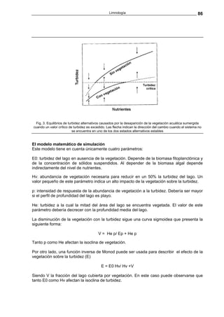 Limnología                                                 86




  Fig. 3. Equilibrios de turbidez alternativos causados por la desaparición de la vegetación acuática sumergida
cuando un valor crítico de turbidez es excedido. Las flecha indican la dirección del cambio cuando el sistema no
                            se encuentra en uno de los dos estados alternativos estables


El modelo matemático de simulación
Este modelo tiene en cuenta únicamente cuatro parámetros:

E0: turbidez del lago en ausencia de la vegetación. Depende de la biomasa fitoplanctónica y
de la concentración de sólidos suspendidos. Al depender de la biomasa algal depende
indirectamente del nivel de nutrientes.

Hv: abundancia de vegetación necesaria para reducir en un 50% la turbidez del lago. Un
valor pequeño de este parámetro indica un alto impacto de la vegetación sobre la turbidez.

p: intensidad de respuesta de la abundancia de vegetación a la turbidez. Debería ser mayor
si el perfil de profundidad del lago es playo.

He: turbidez a la cual la mitad del área del lago se encuentra vegetada. El valor de este
parámetro debería decrecer con la profundidad media del lago.

La disminución de la vegetación con la turbidez sigue una curva sigmoidea que presenta la
siguiente forma:

                                           V = He p/ Ep + He p

Tanto p como He afectan la isoclina de vegetación.

Por otro lado, una función inversa de Monod puede ser usada para describir el efecto de la
vegetación sobre la turbidez (E)

                                             E = E0 Hv/ Hv +V

Siendo V la fracción del lago cubierta por vegetación. En este caso puede observarse que
tanto E0 como Hv afectan la isoclina de turbidez.
 