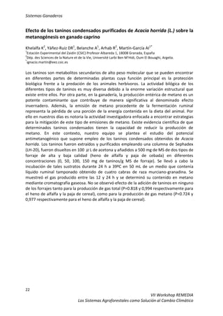 Sistemas Ganaderos
22
VII Workshop REMEDIA
Los Sistemas Agroforestales como Solución al Cambio Climático
Efecto de los taninos condensados purificados de Acacia horrida (L.) sobre la
metanogénesis en ganado caprino
Khelalfa K2
, Yáñez-Ruiz DR1
, Belanche A1
, Arhab R2
, Martín-García AI1*
1
Estación Experimental del Zaidín (CSIC) Profesor Albareda 1, 18008 Granada, España
2
Dép. des Sciences de la Nature et de la Vie, Université Larbi Ben M’Hidi, Oum El Bouaghi, Argelia.
*
ignacio.martin@eez.csic.es
Los taninos son metabolitos secundarios de alto peso molecular que se pueden encontrar
en diferentes partes de determinadas plantas cuya función principal es la protección
biológica frente a la predación de los animales herbívoros. La actividad bilógica de los
diferentes tipos de taninos es muy diversa debido a la enorme variación estructural que
existe entre ellos. Por otra parte, en la ganadería, la producción entérica de metano es un
potente contaminante que contribuye de manera significativa al denominado efecto
invernadero. Además, la emisión de metano procedente de la fermentación ruminal
representa la pérdida de una porción de la energía contenida en la dieta del animal. Por
ello en nuestros días es notoria la actividad investigadora enfocada a encontrar estrategias
para la mitigación de este tipo de emisiones de metano. Existe evidencia científica de que
determinados taninos condensados tienen la capacidad de reducir la producción de
metano. En este contexto, nuestro equipo se plantea el estudio del potencial
antimetanogénico que supone empleo de los taninos condensados obtenidos de Acacia
horrida. Los taninos fueron extraídos y purificados empleando una columna de Sephadex
(LH-20), fueron disueltos en 100 μL de acetona y añadidos a 500 mg de MS de dos tipos de
forraje de alta y baja calidad (heno de alfalfa y paja de cebada) en diferentes
concentraciones (0, 50, 100, 150 mg de taninos/g MS de forraje). Se llevó a cabo la
incubación de tales sustratos durante 24 h a 39ºC en 50 mL de un medio que contenía
líquido ruminal tamponado obtenido de cuatro cabras de raza murciano-granadina. Se
muestreó el gas producido entre las 12 y 24 h y se determinó su contenido en metano
mediante cromatografía gaseosa. No se observó efecto de la adición de taninos en ninguno
de los forrajes tanto para la producción de gas total (P=0.818 y 0,994 respectivamente para
el heno de alfalfa y la paja de cereal), como para la producción de gas metano (P=0.724 y
0,977 respectivamente para el heno de alfalfa y la paja de cereal).
 