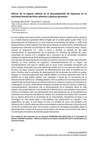 Suelos, Sistemas Forestales y Agroforestales
60
VII Workshop REMEDIA
Los Sistemas Agroforestales como Solución al Cambio Climático
Efectos de la especie arbórea en la descomposición de hojarasca en el
horizonte forestal de Pinus sylvestris y Quercus pyrenaica
Fernández-Alonso MJ1*
, Díaz-Pinés E2
, Rubio A1
1
Dpto. Sistemas y Recursos Naturales, Universidad Politécnica de Madrid (UPM), C/ Antonio Novais 10, 28040
Madrid, España
2
Institute of Soil Research, University of Natural Resources and Life Sciences (BOKU), Peter-Jordan-Straße 82,
1190 Vienna, Austria
*
mj.fernandez@upm.es
En este trabajo examinamos cómo la sucesión del bosque de pino silvestre (Pinus sylvestris
L.) a rebollo (Quercus pyrenaica Willd.) dirigida por el cambio global puede influir en la
descomposición de hojarasca en su zona ecotonal en los Montes de Valsaín ( 1300 m de
altitud, Sistema central, España). Para ello, desarrollamos un experimento usando bolsas de
hojarasca que contenían 10 g de hojas de roble, acículas de pino u hojarasca mixta hojas y
acículas en proporción 1:1. Cada 4 meses y durante un período de dos años
monitorizamos la descomposición de la hojarasca en términos de pérdida de masa,
contenidos de carbono (C) y nitrógeno (N) y estructura de la comunidad microbiana
mediante el método del perfil de ácidos grasos fosfolipídicos (PLFAs).
Tras dos años de descomposición en campo, las acículas mostraron la mayor masa restante.
Además, la masa restante de hojarasca, independientemente de su origen, fue
consistentemente más baja en rebollar que en pinar. Estos resultados concuerdan con
otros trabajos mostrando tasas más rápidas del ciclado de C en los suelos de roble que los
de pino. Las hojas tuvieron constantes de descomposición más altas en rebollar que en
pinar, mientras que la constante de descomposición de las acículas fue similar en ambos
bosques. El microclima generado bajo rebollar debido a su menor superficie foliar tras la
pérdida de la hoja podría explicar este resultado a través de un incremento de la
descomposición abiótica (i.e. fotodegradación). Esto se justifica con las temperaturas de la
superficie del suelo que fueron en rebollar menores en invierno y mayores en primavera en
comparación con pinar. Hubo efectos sinérgicos resultado de mezclar acículas y hojas que,
comparativamente, estimularon más la descomposición de la hojarasca nativa en cada
bosque. Esto puede deberse a una facilitación indirecta de las comunidades nativas por el
entorno circundante y por una estimulación de la descomposición por la transferencia de
nutrientes entre hojarasca de diferente calidad. Los resultados del análisis PLFA muestran
que la especie determina el ensamblaje de las comunidades microbianas en base a sus
estrategias de vida dando lugar a comunidades más copiotróficas en rebollar y más
oligotróficas en pinar, lo cual afecta no sólo a la pérdida de masa, sino también a las
dinámicas del C y del N, dado que dichas comunidades muestran diferentes eficiencias en el
uso de los nutrientes del suelo. Por lo tanto, la especie en los boques estudiados regula la
descomposición a través de la química de las hojas y las acículas, el microclima del suelo y
la colonización microbiana de distintos grupos funcionales.
Este trabajo ha sido financiado por los proyectos REMEDINAL3-CM (MAE-2719) de la Comunidad de
Madrid, FORADMIT (AGL2016- 77863-R) del Gobierno de España y BooGIE-BOP (LIFE17 GIE/DE/466) de la
Comisión Europea.
 
