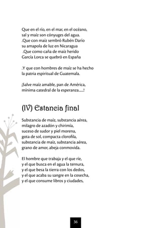 Que en el río, en el mar, en el océano,
sal y maíz son cónyuges del agua.
.Que con maíz sembró Rubén Darío
su amapola de luz en Nicaragua
 .Que como caña de maíz herido
García Lorca se quebró en España

.Y que con hombres de maíz se ha hecho
la patria espiritual de Guatemala.

¡Salve maíz amable, pan de América,
mínima catedral de la esperanza......!



(IV) Estancia final
Substancia de maíz, substancia aérea,
milagro de azadón y chirimía,
suceso de sudor y piel morena,
gota de sol, compacta clorofila,
substancia de maíz, substancia aérea,
grano de amor, abeja conmovida.

El hombre que trabaja y el que ríe,
y el que busca en el agua la ternura,
y el que besa la tierra con los dedos,
y el que acaba su sangre en la cosecha,
y el que consume libros y ciudades,




                              36
 