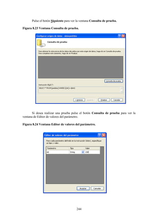 244
Pulse el botón Siguiente para ver la ventana Consulta de prueba.
Figura 8.23 Ventana Consulta de prueba.
Si desea realizar una prueba pulse el botón Consulta de prueba para ver la
ventana de Editor de valores del parámetro.
Figura 8.24 Ventana Editor de valores del parámetro.
 
