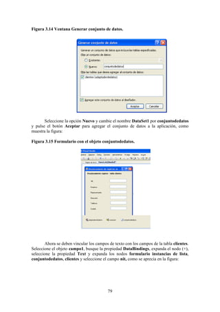 79
Figura 3.14 Ventana Generar conjunto de datos.
Seleccione la opción Nuevo y cambie el nombre DataSet1 por conjuntodedatos
y pulse el botón Aceptar para agregar el conjunto de datos a la aplicación, como
muestra la figura:
Figura 3.15 Formulario con el objeto conjuntodedatos.
Ahora se deben vincular los campos de texto con los campos de la tabla clientes.
Seleccione el objeto campo1, busque la propiedad DataBindings, expanda el nodo (+),
seleccione la propiedad Text y expanda los nodos formulario instancias de lista,
conjuntodedatos, clientes y seleccione el campo nit, como se aprecia en la figura:
 
