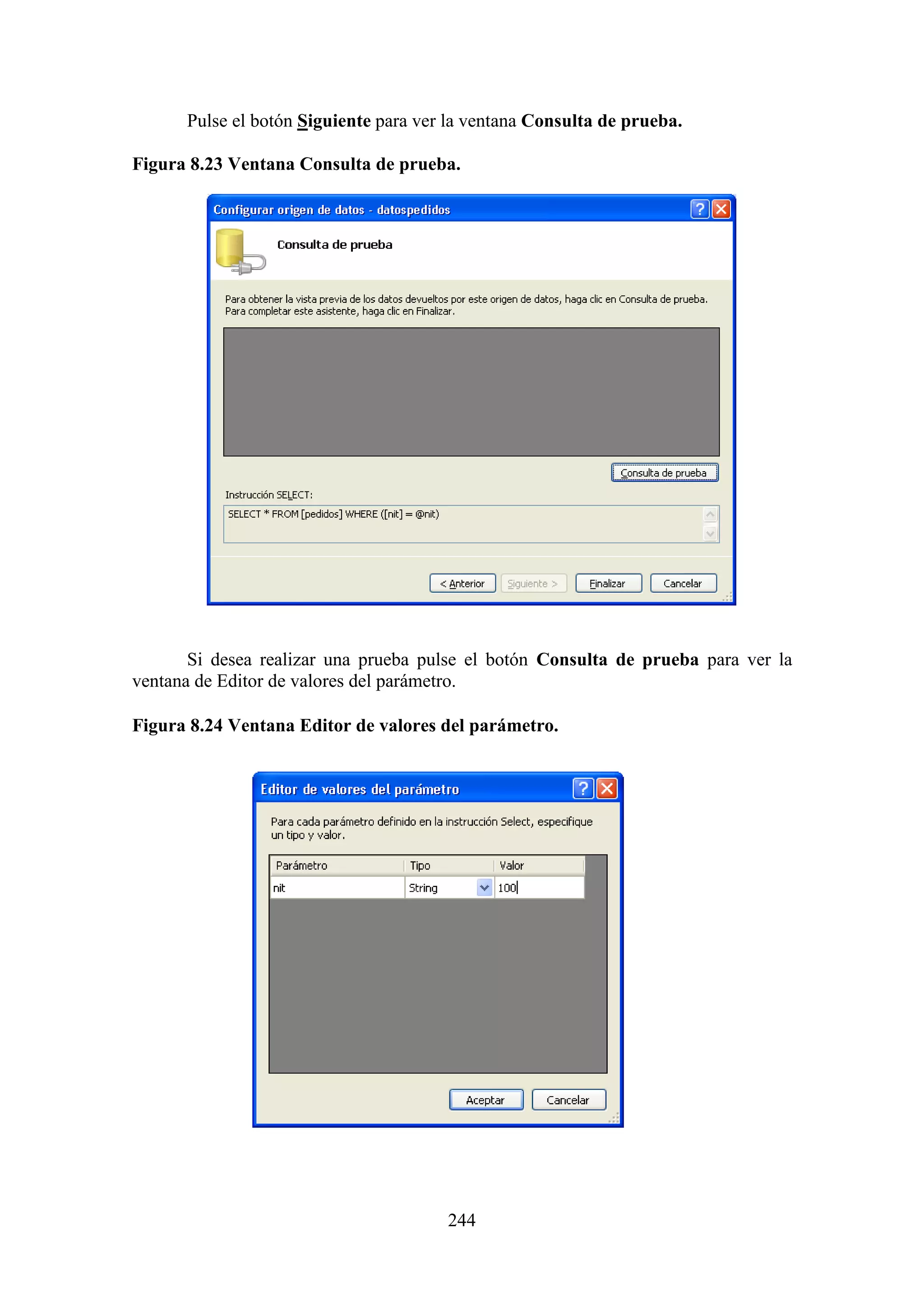 244
Pulse el botón Siguiente para ver la ventana Consulta de prueba.
Figura 8.23 Ventana Consulta de prueba.
Si desea realizar una prueba pulse el botón Consulta de prueba para ver la
ventana de Editor de valores del parámetro.
Figura 8.24 Ventana Editor de valores del parámetro.
 