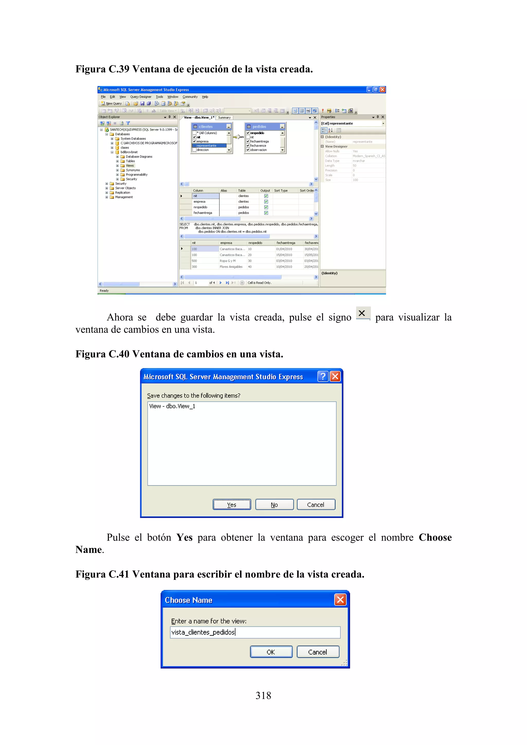 318
Figura C.39 Ventana de ejecución de la vista creada.
Ahora se debe guardar la vista creada, pulse el signo para visualizar la
ventana de cambios en una vista.
Figura C.40 Ventana de cambios en una vista.
Pulse el botón Yes para obtener la ventana para escoger el nombre Choose
Name.
Figura C.41 Ventana para escribir el nombre de la vista creada.
 