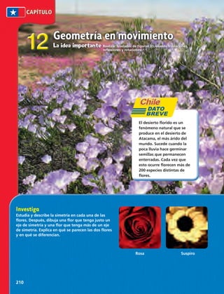 reflexiones y rotaciones. 12 
Geometría en movimiento 
La idea importante Realizar teselados de figuras 2D, usando traslaciones, 
Investiga 
Estudia y describe la simetría en cada una de las 
flores. Después, dibuja una flor que tenga justo un 
eje de simetría y una flor que tenga más de un eje 
de simetría. Explica en qué se parecen las dos flores 
y en qué se diferencian. 
210 
DATO 
BREVE 
El desierto florido es un 
fenómeno natural que se 
produce en el desierto de 
Atacama, el más árido del 
mundo. Sucede cuando la 
poca lluvia hace germinar 
semillas que permanecen 
enterradas. Cada vez que 
esto ocurre florecen más de 
200 especies distintas de 
flores. 
Rosa Suspiro 
 