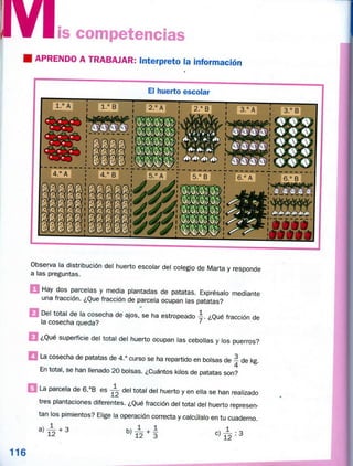 MATEMÁTICAS 6º ANAYA