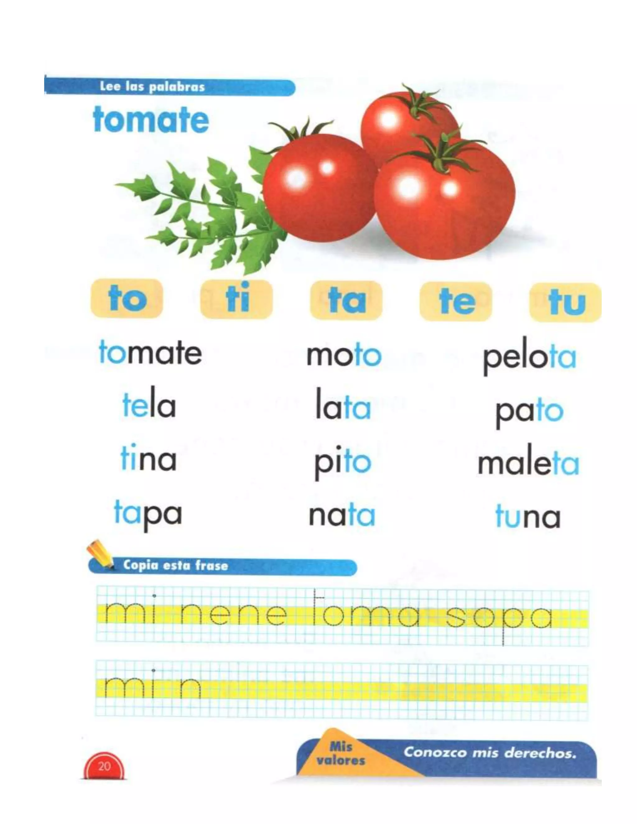 Libro nacho primer grado PDF