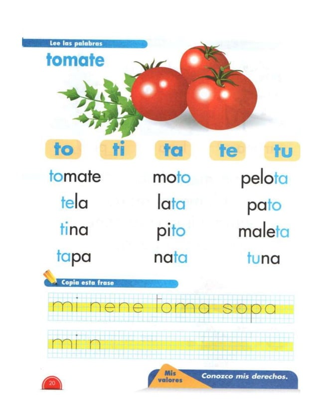 Libro nacho primer grado