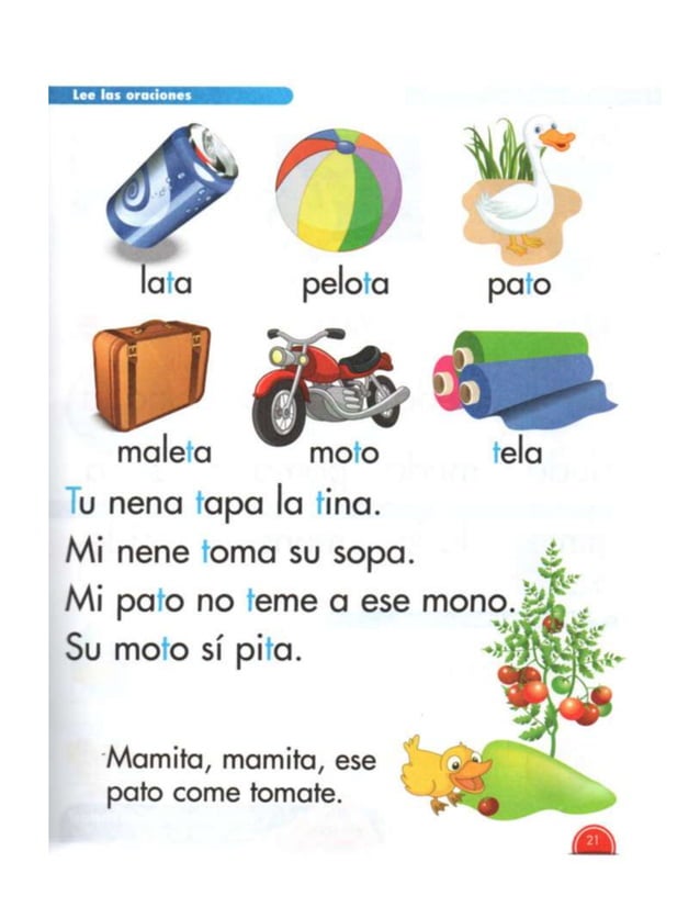 Libro nacho primer grado