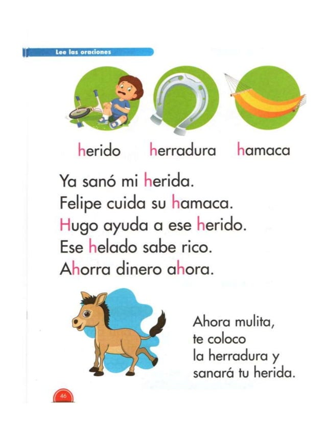 Libro nacho primer grado