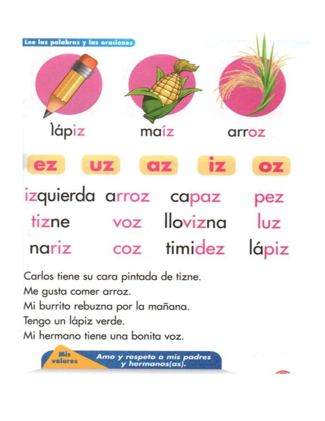 Libro nacho primer grado