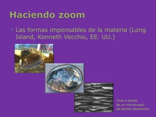    Las formas impensables de la materia (Long
    Island, Kenneth Vecchio, EE. UU.)




                                    Visto a través
                                    de un microscopio
                                    de barrido electrónico
 
