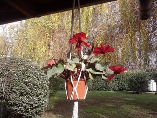 Nanotecnologia, descubriendo lo invisible