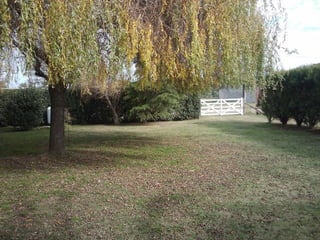 Nanotecnologia, descubriendo lo invisible