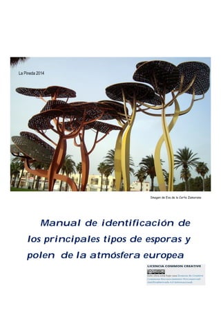 Manual de identificación de
los principales tipos de esporas y
polen de la atmósfera europea
Imagen de Eva de la Corte Zamorano
 