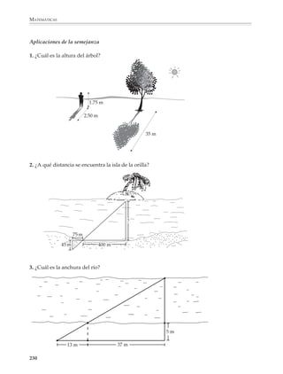 MATEMÁTICAS



              Pitágoras, semejanza y el cálculo geométrico
              Existen muchísimas aplicaciones de los teoremas de Pitágoras y de semejanza al
              cálculo geométrico, entre las que destacan las aplicaciones del teorema de Pitágoras
              para obtener longitudes y distancias, y las de la semejanza al cálculo de distancias
              inaccesibles. A continuación se dan algunos ejemplos de problemas que el profesor
              podrá utilizar en clase.

              Aplicaciones de Pitágoras

              1. ¿Cuál es la longitud del segmento AB?


                                              6

                                              5

                                              4
                                                                            B
                                              3

                                              2
                                                       A
                                              1
                                              0

                              -2         -1            1   2   3   4        5   6       7       8
                                              -1

                                              -2



              2. ¿Cuál es el perímetro de las siguientes figuras?

              a)                                                   b)



                                     B                                                   B

                                                                                                            C
                        A                                               A

                                                   C



                               D                                                    D




              228



M/SEC/P-179-270.PM6.5          228                                                      6/20/01, 11:14 AM
 