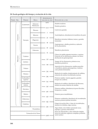 MATEMÁTICAS



              17. Modelo puntuado

                                                                             Padre normal                                  Madre portadora

                                                                                 X                                             X X
                                                                                         Y


                                                             Espermatozoide                                         Óvulo




                                                                                                                                                                         FUENTE: Investigación y ciencia.
                                                                         Hija                 Hijo                 Hijo                Hija
                                                                        normal               normal              homofílico          portadora


              Herencia de la hemofilia, que está ligada al sexo porque el gen del factor VII se halla en el cromosoma
              X. Un varón portador de un gen del factor VII que haya mutado carece de factor VIII normal: es, por
              tanto, hemofílico. Una hembra portadora no sufre la enfermedad, pues el gen normal de su segundo
              cromosoma X la protege; la mitad de sus hijas serán portadoras y la mitad de sus hijos hemofílicos. En
              el caso de que el padre fuese hemofílico y la madre normal (no contemplado en el esquema), los hijos
              varones no serían hemofílicos, puesto que reciben del padre el cromosoma Y, pero todas las hijas serían
              portadoras.

              18.

                                                     PREFERENCIAS
                                                    DEL CLIENTE POR
                                                 SEGMENTO COMERCIAL




                                                 ESTRATEGIA COMERCIAL                                   ESPECIFICACIONES                              ESPECIFICACIONES
                                                 Y PLAN DE PRODUCCIÓN                                     DEL VEHÍCULO                                DE COMPONENTES

                                                                                                             Calidad                                       Función
              FUENTE: Investigación y ciencia.




                                                                                                              Precio                                       Montaje
                                                                                                      Consumo de carburante                                 Peso
                                                                                                           Prestaciones                                     Costo
                                                   ANÁLISIS DE           FACTORES                         Dimensiones                                    Rendimiento
                                                 LA COMPETENCIA          EXTERNOS                         Características                               Funcionalidad

                                                                         Legislación
                                                                        Disponibilidad
                                                                        de carburante
                                                                           Ahorro



              Diseño de un automóvil: un proceso jerárquico que descansa cada vez más en métodos de proyectos
              asistidos por computadora, o CAD, análisis de ingeniería y simulación, o CAE, y análisis de fabricación
              o CAM. El proceso se inicia con una estrategia comercial general y un plan de producción que define
              el tipo de vehículo y sus especificaciones generales: calidad, precio, tamaño, peso y rendimiento, entre
              otros. Durante esta fase se realizan simulaciones por computadora para asegurar que diversas
              características técnicas del vehículo (potencia del motor y consumo de carburante, entre ellas)
              resulten tal y como estaban programadas. A continuación, se diseñan los componentes individuales;
              en esta fase las especificaciones generales sirven de directrices. La forma de un componente queda


              298



M/SEC/P-271-327.PM6.5                                             298                                                                        6/20/01, 11:16 AM
 